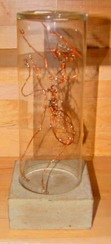 Ant project 01